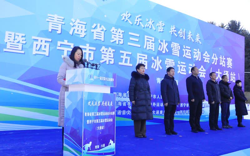 大阵容展开激烈较量，比赛场上风云变幻的简单介绍