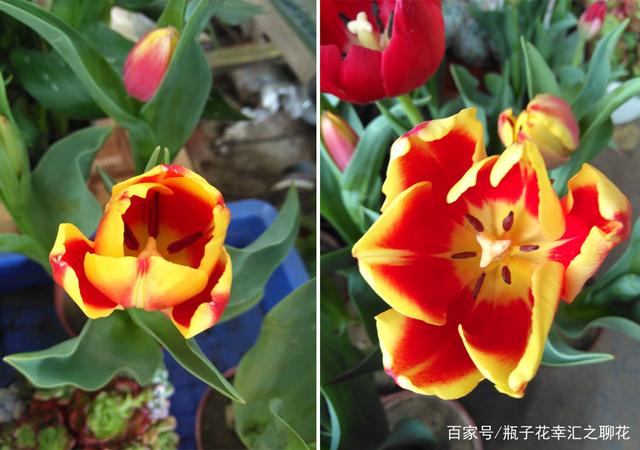 关于精彩绝伦一战，观赏价值无限迷人的信息