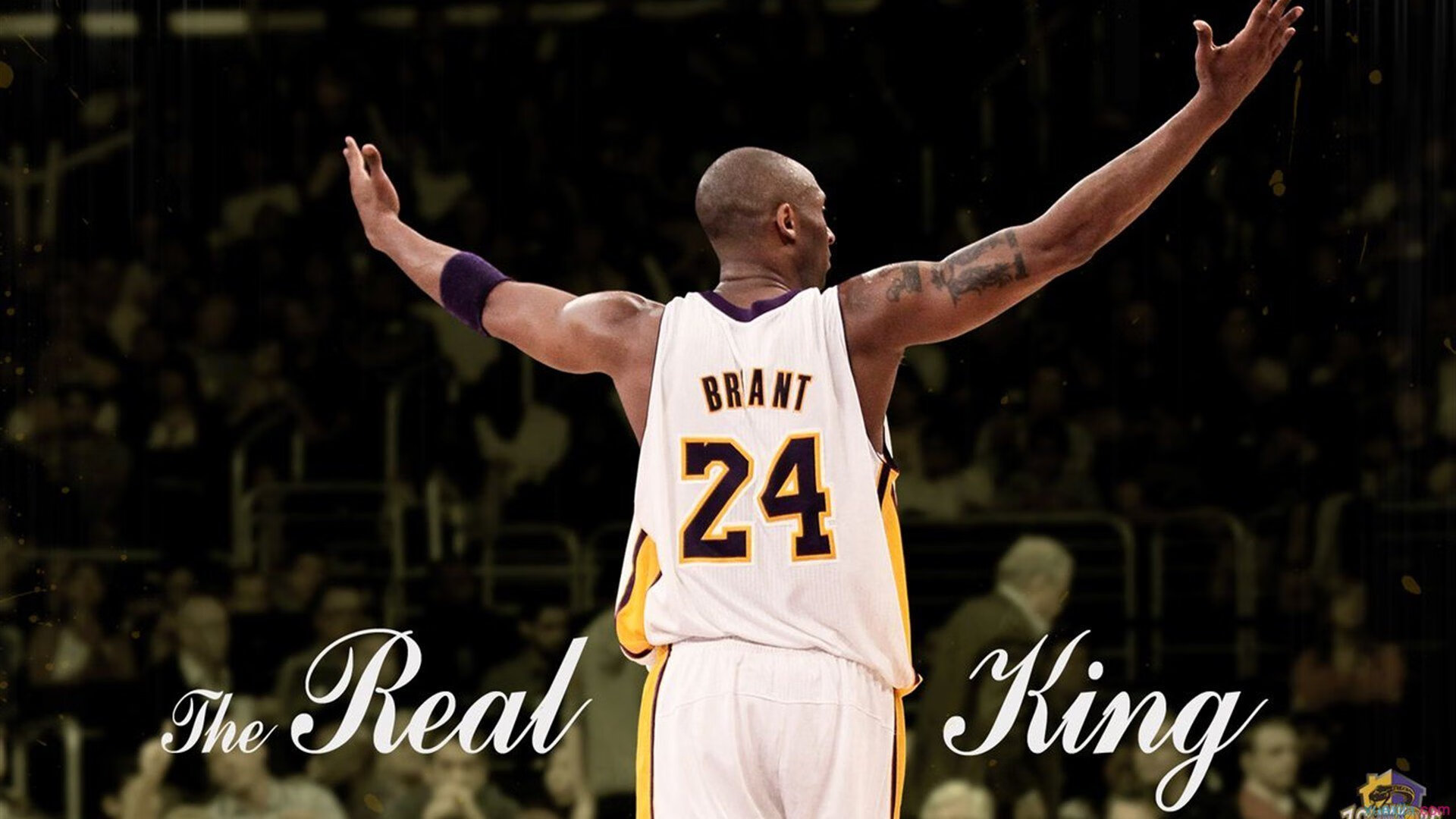 太阳节奏掌控国王，字母哥成为关键先生